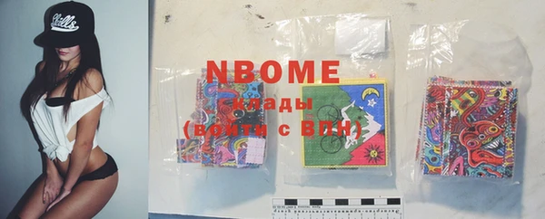 прущий лед Новозыбков
