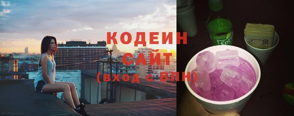 прущий лед Новозыбков