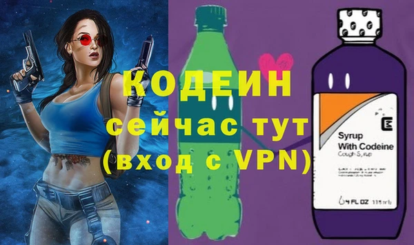 прущий лед Новозыбков